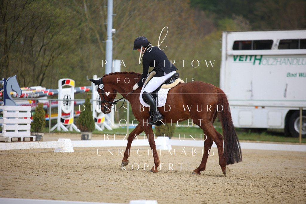 IMGT6739 | pl-fotografie