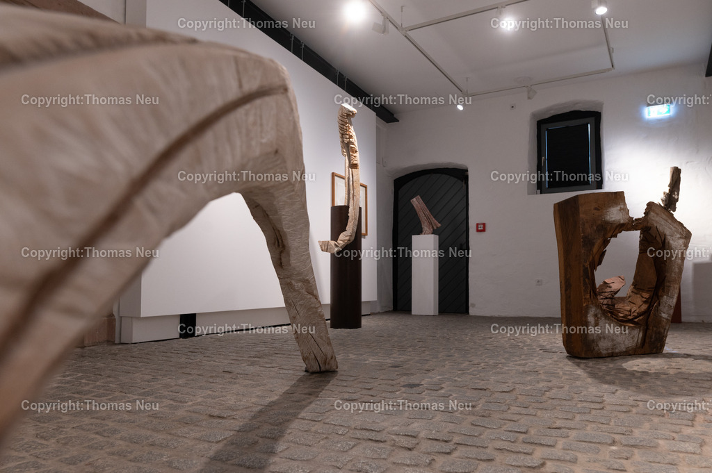 DSC_9308 | Museum Bensheim, Ausstellung Jochen Walpoth, 