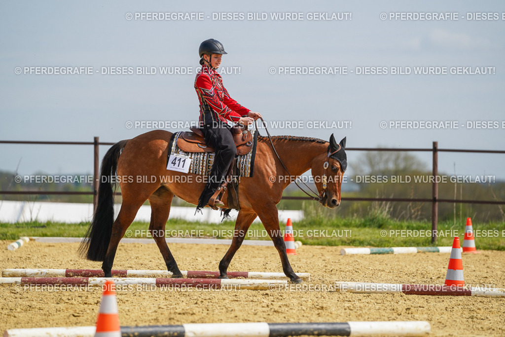 DSC04516 | Pferdegrafie