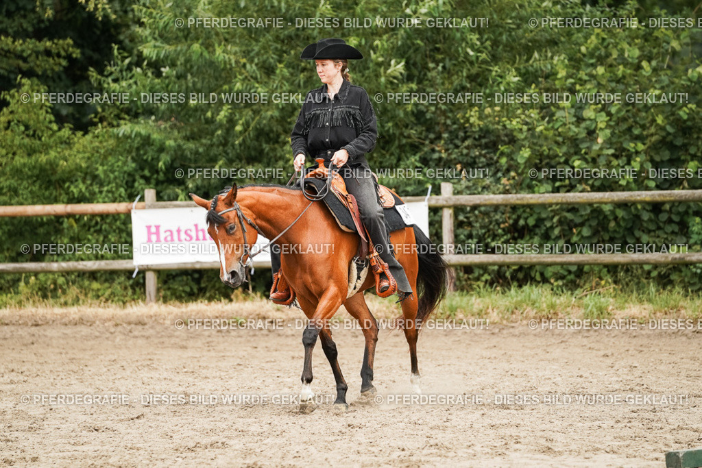 DSC08246 | Pferdegrafie