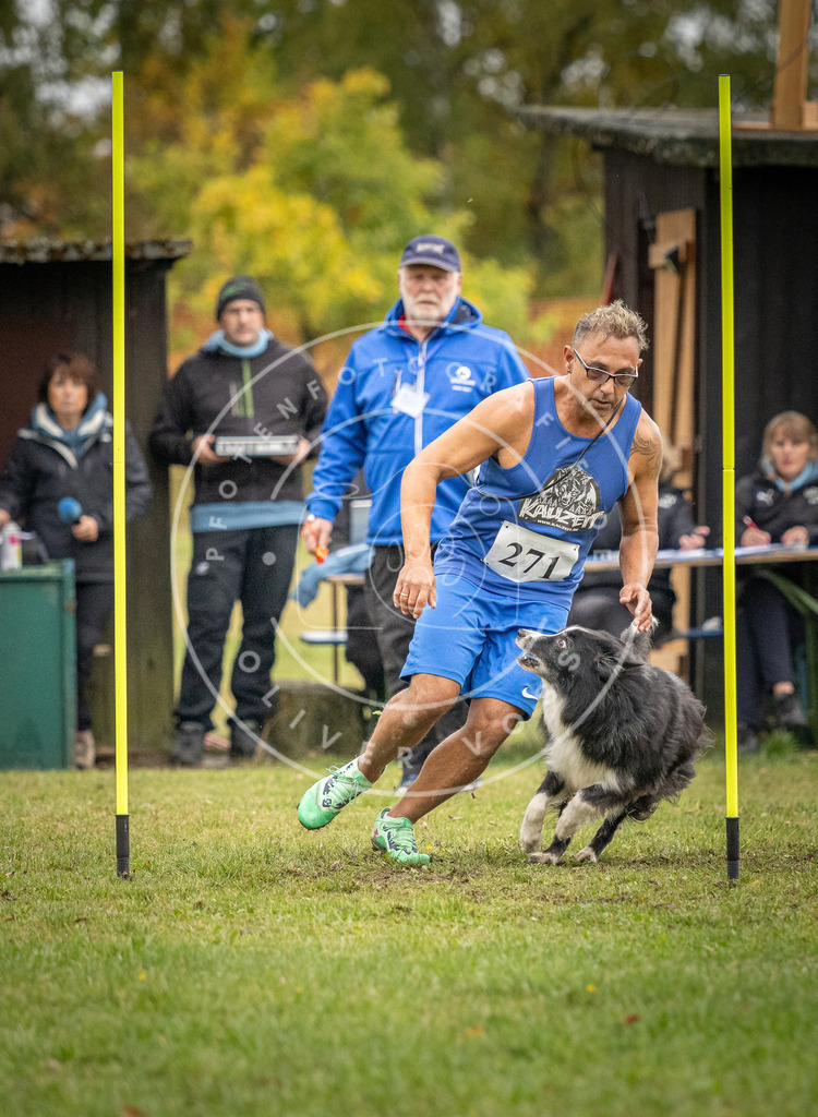 Pfotenfotografie_DV3A9692 | Hundefotografie, Tierfotograf, Pfotenfotografie, Fotoshooting Hund, Hunde Portrait, Hundesport, Hundeportraits, Heideshooting, Hunde, Sportfotograf, Hundefotograf, Turnierhundsport, THS,  - Realisiert mit Pictrs.com