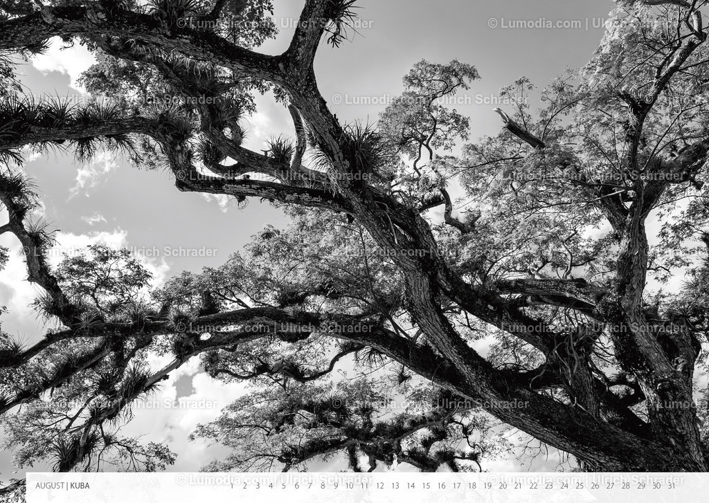 Kalender_Ausstellung_Landschaften-9 | Stockfoto und Bilderpool mit Bildmaterial aus Deutschland, dem Harz, Halberstadt, Quedlinburg, Wernigerode und weltweit. Qualitativ hochwertige und professionelle Fotos anschauen und kaufen. - Realisiert mit Pictrs.com