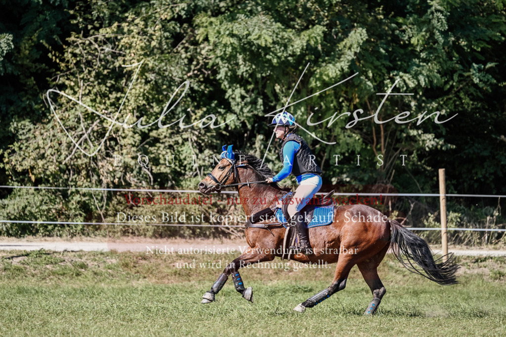 DSC_3121 | Pferde- und Turnierfotografie in Westsachsen. Pferdeportraits, Auftragszeichnungen und intuitive Kunst.