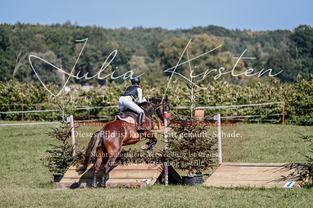 DSC_2789 | Pferde- und Turnierfotografie in Westsachsen. Pferdeportraits, Auftragszeichnungen und intuitive Kunst.