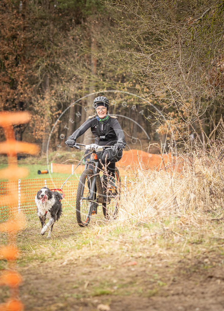 DV3A1198 | Hundefotografie, Tierfotograf, Pfotenfotografie, Fotoshooting Hund, Hunde Portrait, Hundesport, Hundeportraits, Heideshooting, Hunde, Sportfotograf, Hundefotograf, Turnierhundsport, THS,  - Realisiert mit Pictrs.com