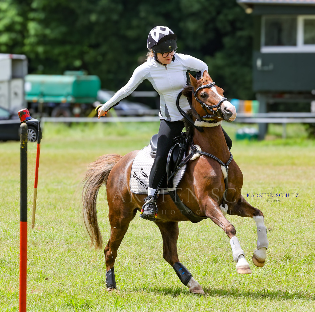 1B3A1127 | Reitsport Reiten