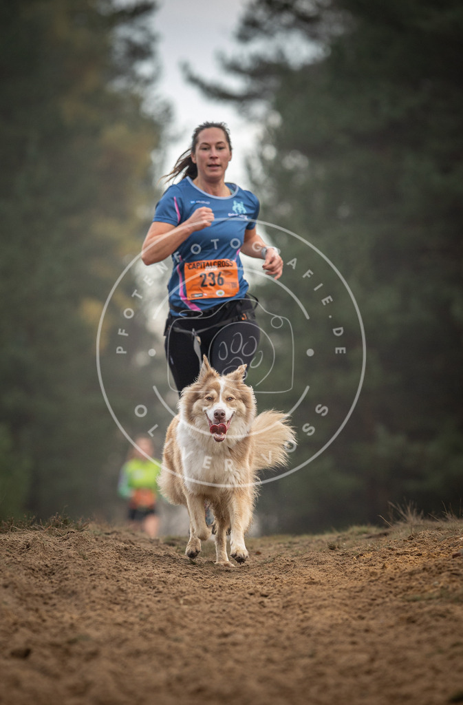 Pfotenfotografie_DV3A5570 | Hundefotografie, Tierfotograf, Pfotenfotografie, Fotoshooting Hund, Hunde Portrait, Hundesport, Hundeportraits, Heideshooting, Hunde, Sportfotograf, Hundefotograf, Turnierhundsport, THS,  - Realisiert mit Pictrs.com