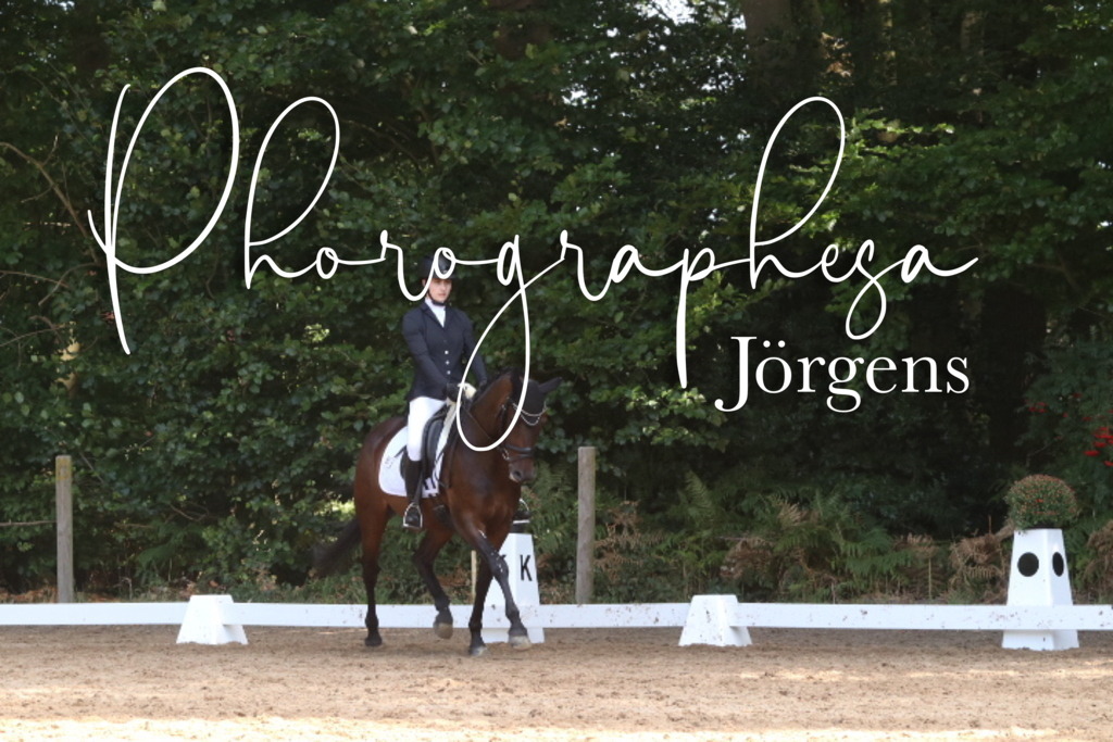 IMG_0512 | photographesa-joergens - Realisiert mit Pictrs.com