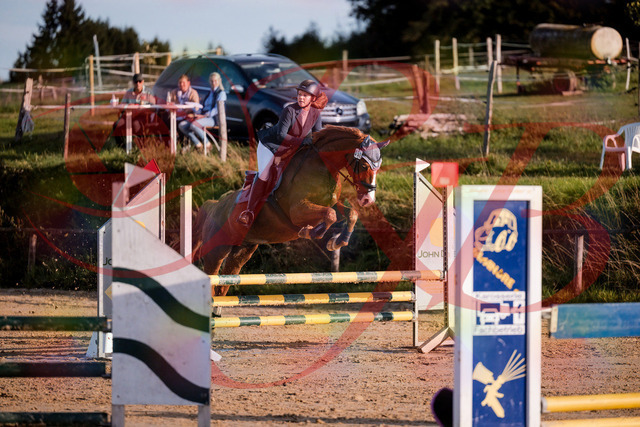 2026_10_03_Siefer-Hof_171209_Z81_09048043 | Professionelle Reitsport-, Turnier- und Eventfotografie von Robert Broda. Galerien mit ausgewählten und bearbeiteten Bildern direkt online ansehen und bestellen.