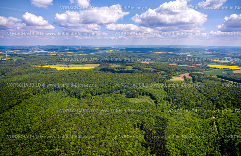 Brakel240504758NSG-HinnenburgerForst | Luftbild, NSG Naturschutzgebiet Hinnenburger Forst mit Emder Bachtal, herzförmige Lichtung, Alhausen, Bad Driburg, Ostwestfalen, Nordrhein-Westfalen, Deutschland