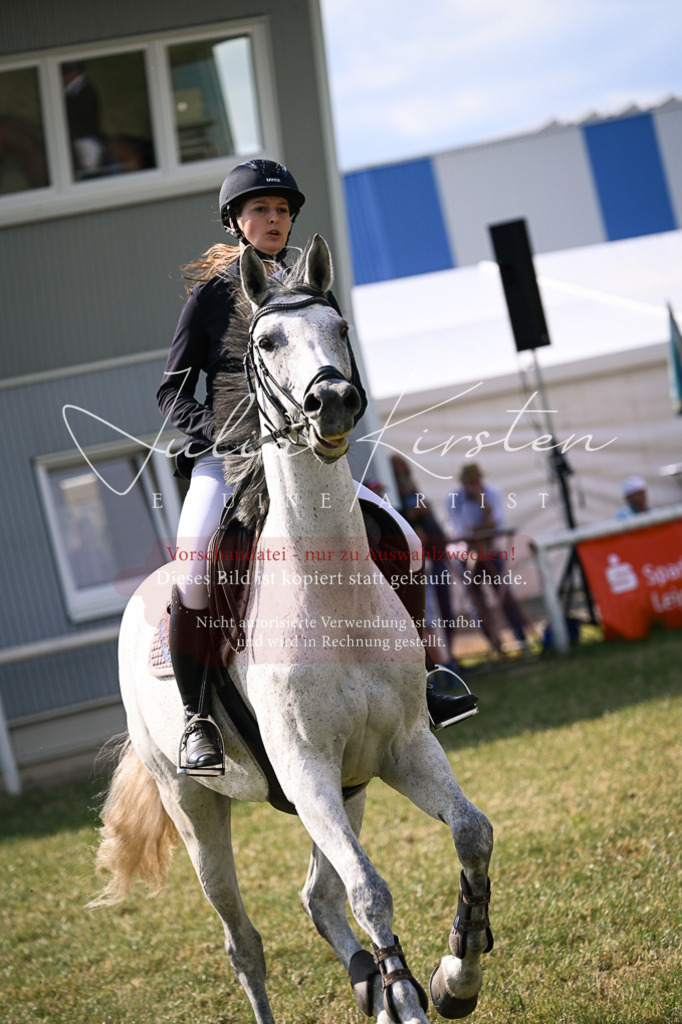 DSC_1067 | Pferde- und Turnierfotografie in Westsachsen. Pferdeportraits, Auftragszeichnungen und intuitive Kunst.