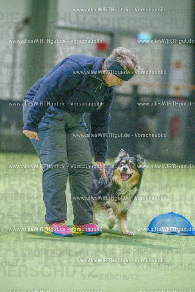 7R504286 | Professionelle Tierfotografie in Mönchengladbach von Daniel Wirth (allesWIRTHgut). Liebevolle & natürliche Bilder von Hunden & Katzen für unvergessliche Erinnerungen.