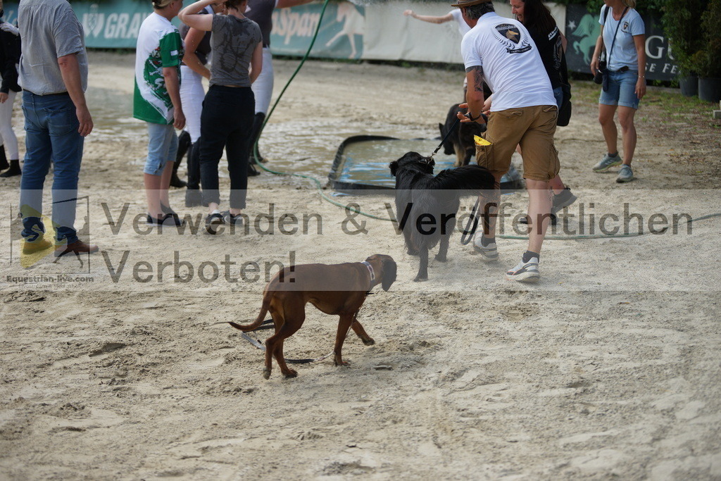 DSC05708 | equestrian-live-com