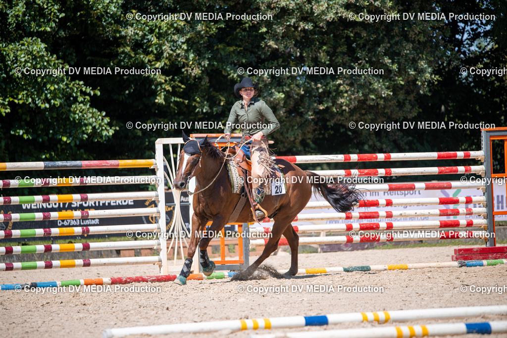 ZS1_1475 | dv-media-shop - Realisiert mit Pictrs.com