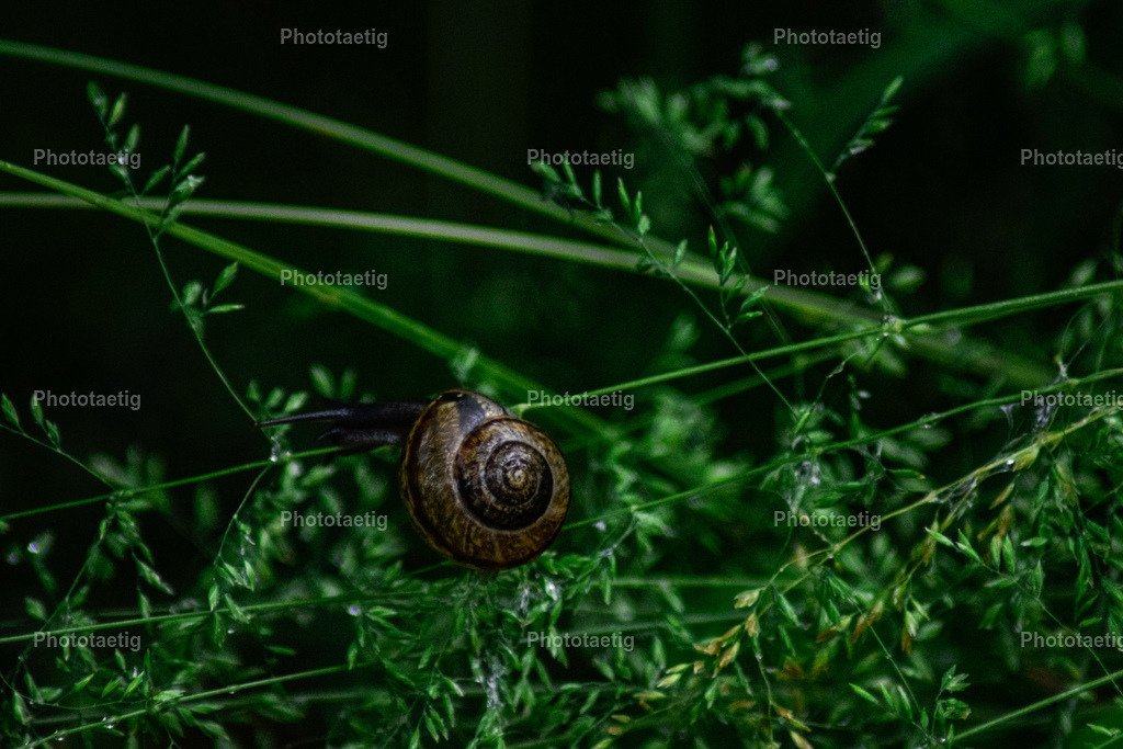 IMG_3307 | phototaetig