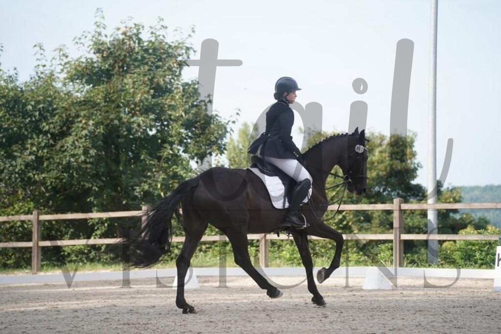 tgbhsamstag (591) | d.tail Visions - Shop - Realisiert mit Pictrs.com