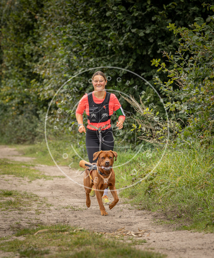 Pfotenfotografie_DV3A7033 | Hundefotografie, Tierfotograf, Pfotenfotografie, Fotoshooting Hund, Hunde Portrait, Hundesport, Hundeportraits, Heideshooting, Hunde, Sportfotograf, Hundefotograf, Turnierhundsport, THS,  - Realisiert mit Pictrs.com