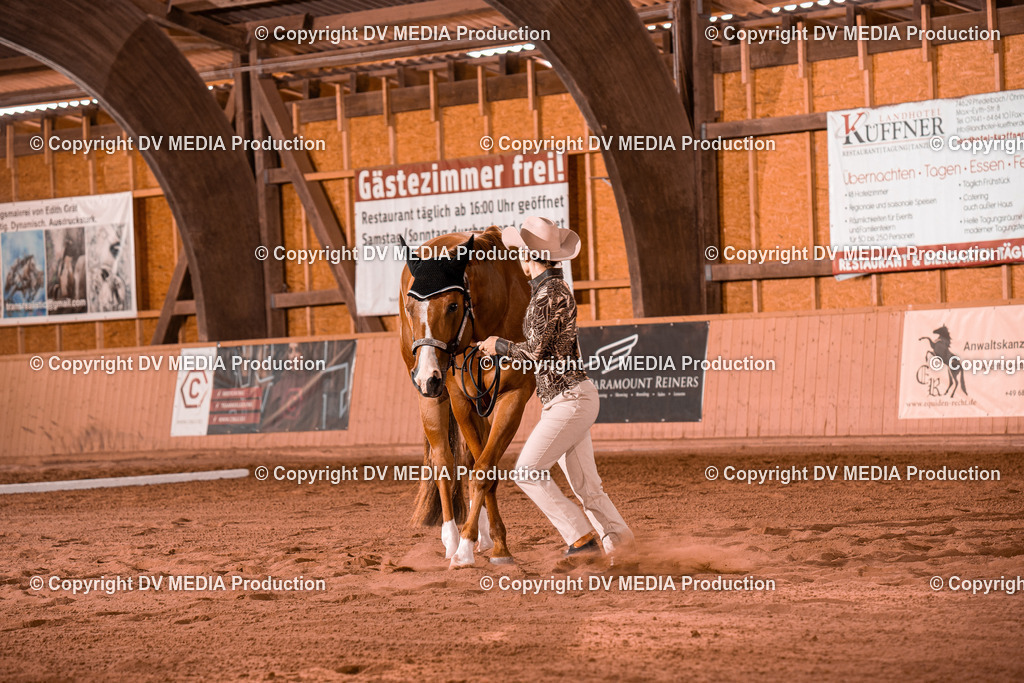 NE100124 | dv-media-shop - Realisiert mit Pictrs.com