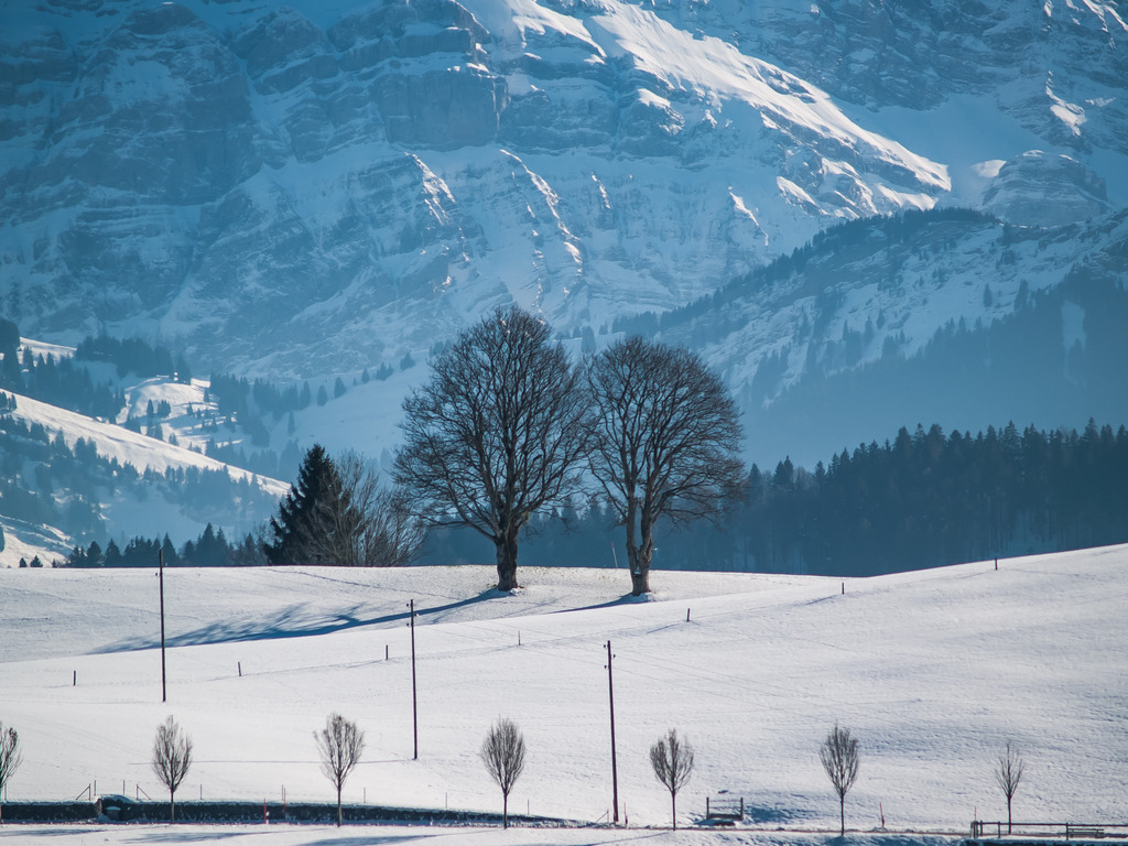 PSX_20230212_235204 | OLYMPUS DIGITAL CAMERA - Realisiert mit Pictrs.com