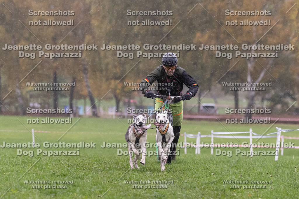 Dog Paparazzi - SD CaniX Championship 2025-882 | Dog Paparazzi Jeanette Grottendiek Fotografie & Videografie - Realisiert mit Pictrs.com
