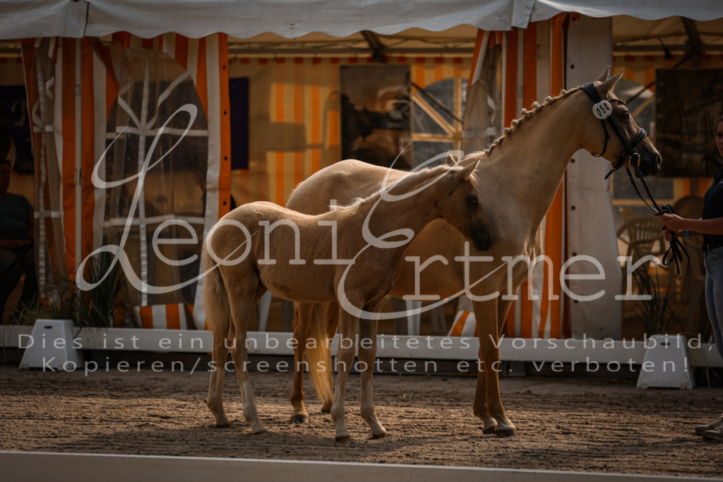 10.DoRP00010 | Leoni Ertmer Photography - Realisiert mit Pictrs.com