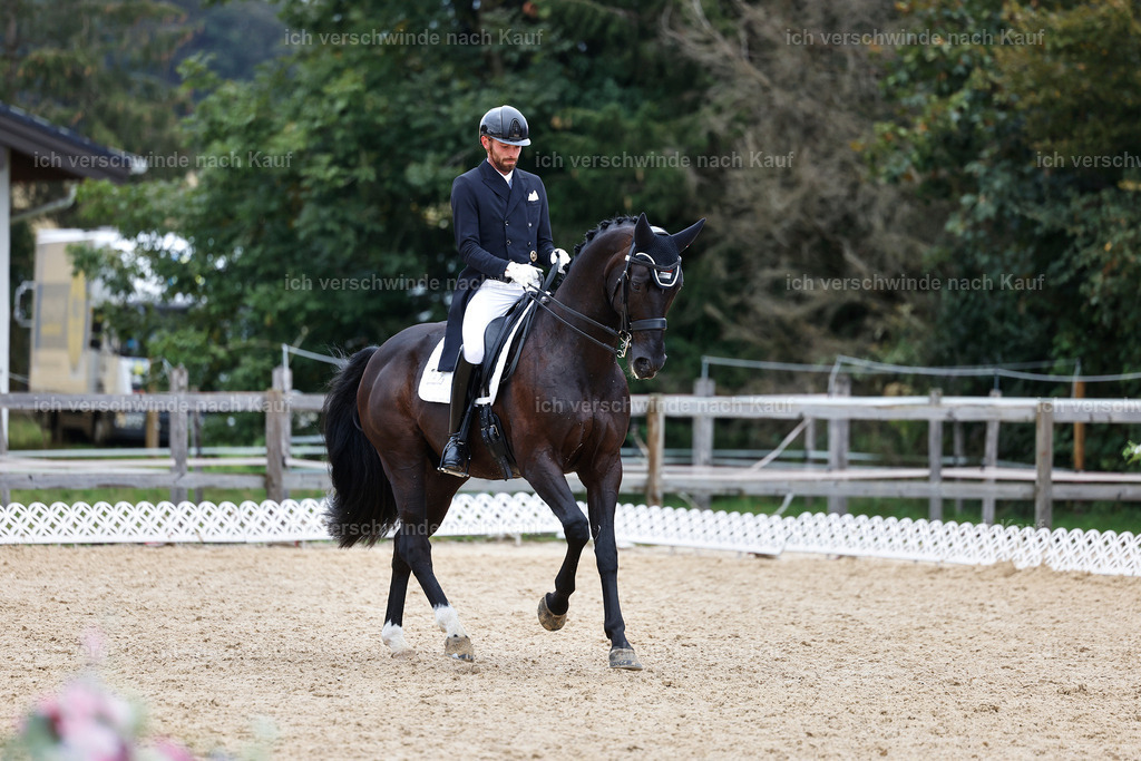 12-047-DRESSUR  S___  -StoibPH-5325 | working equitationturnier fotograf videograf stoibphotography marixx film working equitation deutschland reitsport turnierfotografie eventfotografie equestrian events