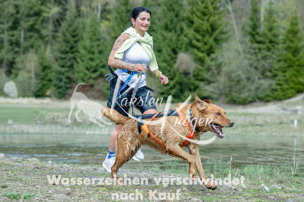 1100_ZZ92695-Bearbeitet | kk-dogfotos