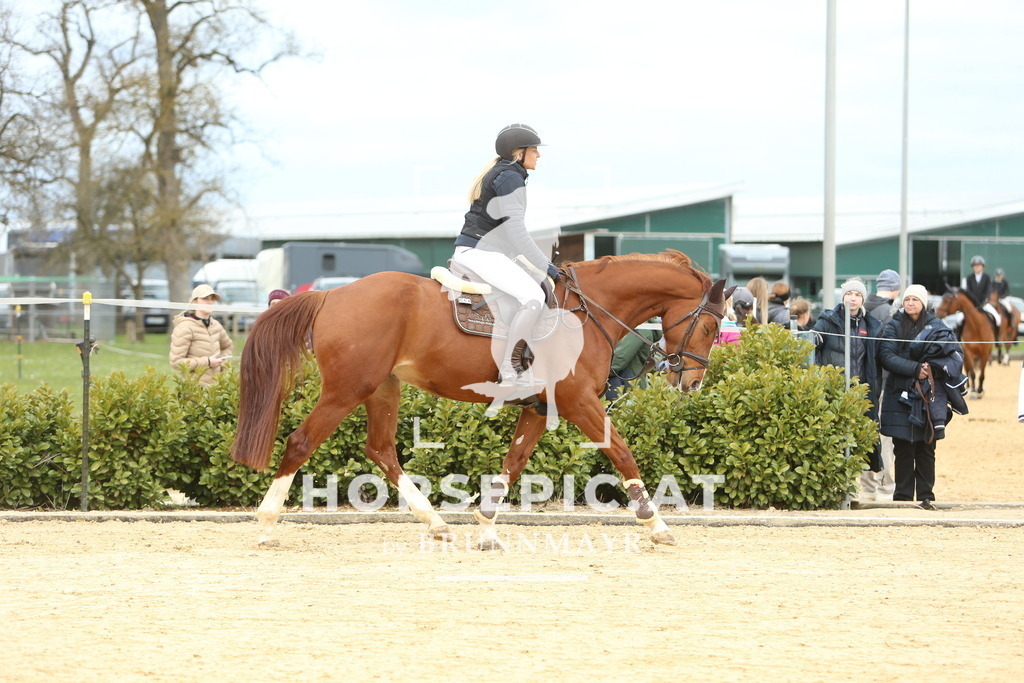 DL2Q2125 | Willkommen bei Brunnmayr - Design & Fotografie – Ihrem Spezialisten für Reitturniere und Pferdeveranstaltungen in Oberösterreich, Salzburg und Bayern! Seit über 17 Jahren sind wir leidenschaftlich dabei.