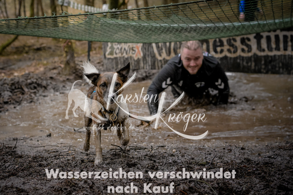0942_ZZ98248 | kk-dogfotos