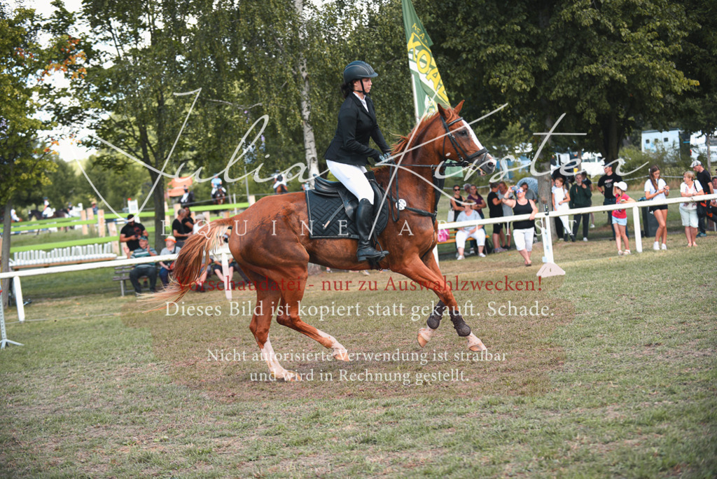 DSC_6484 | Pferde- und Turnierfotografie in Westsachsen. Pferdeportraits, Auftragszeichnungen und intuitive Kunst.