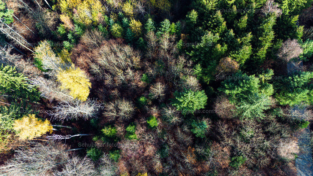Herbswald | Herbstwald von Vogelperspektive - Realisiert mit Pictrs.com