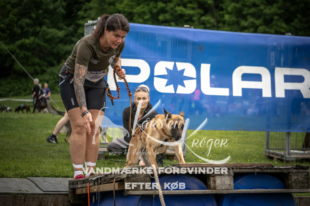 0957_ZZ93071 | kk-dogfotos