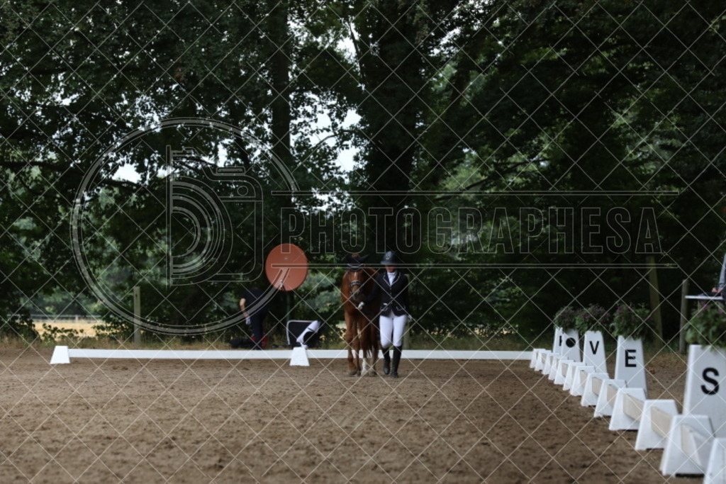 IMG_2120 | photographesa-joergens - Realisiert mit Pictrs.com