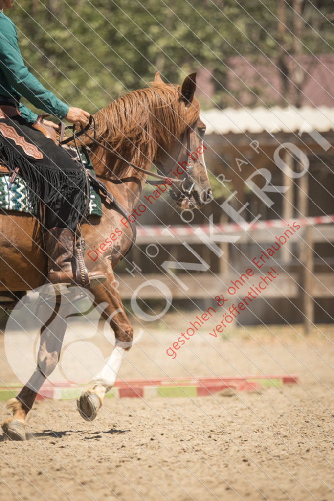 IMG_0117 | Sport-, Event- und Tierfotos in Profiqualität. Einfach auswählen, bestellen und herunterladen. Dein Moment – perfekt festgehalten.