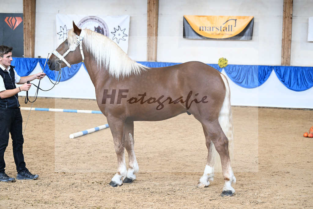 Kat-Nr. 30 Rheingold v. Rusty_Bachmair_39250506 | hf-fotografie - Realizzato con Pictrs.com