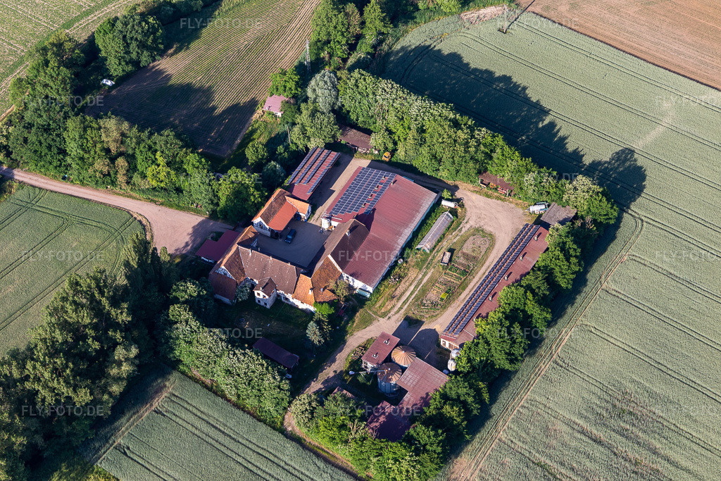 Luftbild: Leistenmühle in Erlenbach bei Kandel im Bundesland Rheinland-Pfalz in Deutschland. Foto: IMG_132366.jpg vom 03.06.2022 durch Werner Riehm/FLY-FOTO.de