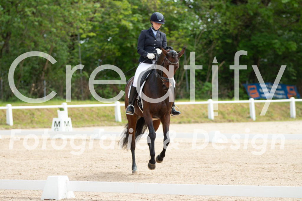 IMG_0502 | Creatify Fotografie