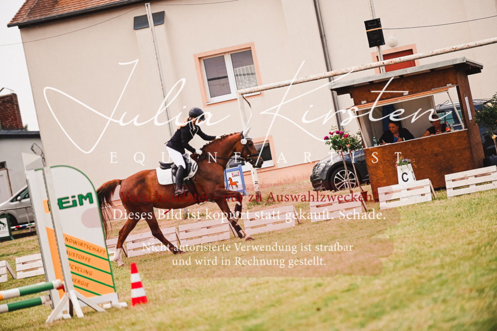 DSC_6883 | Pferde- und Turnierfotografie in Westsachsen. Pferdeportraits, Auftragszeichnungen und intuitive Kunst.