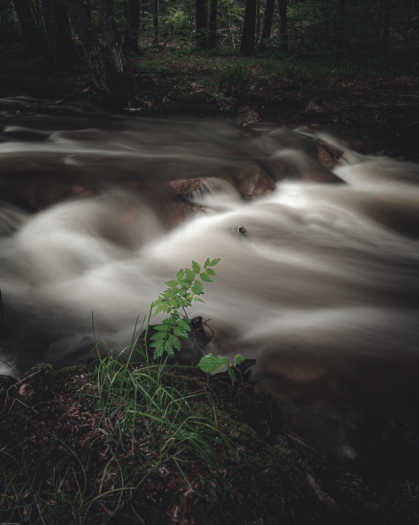 _DSC4023 | renerovisanfotoart.com