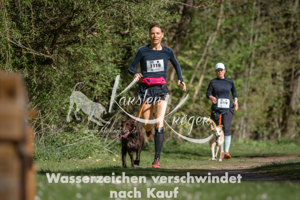 1018DZ6_3801 | kk-dogfotos