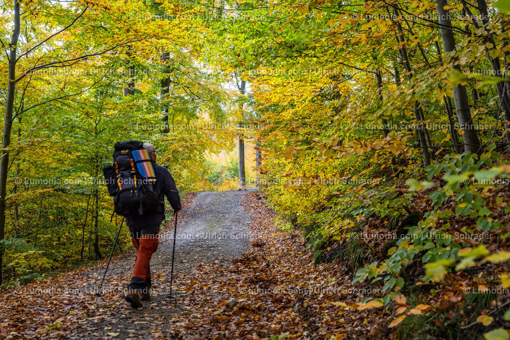 10049-12908 - Herbst im Westharz | Stockfoto und Bilderpool mit Bildmaterial aus Deutschland, dem Harz, Halberstadt, Quedlinburg, Wernigerode und weltweit. Qualitativ hochwertige und professionelle Fotos anschauen und kaufen. - Realisiert mit Pictrs.com