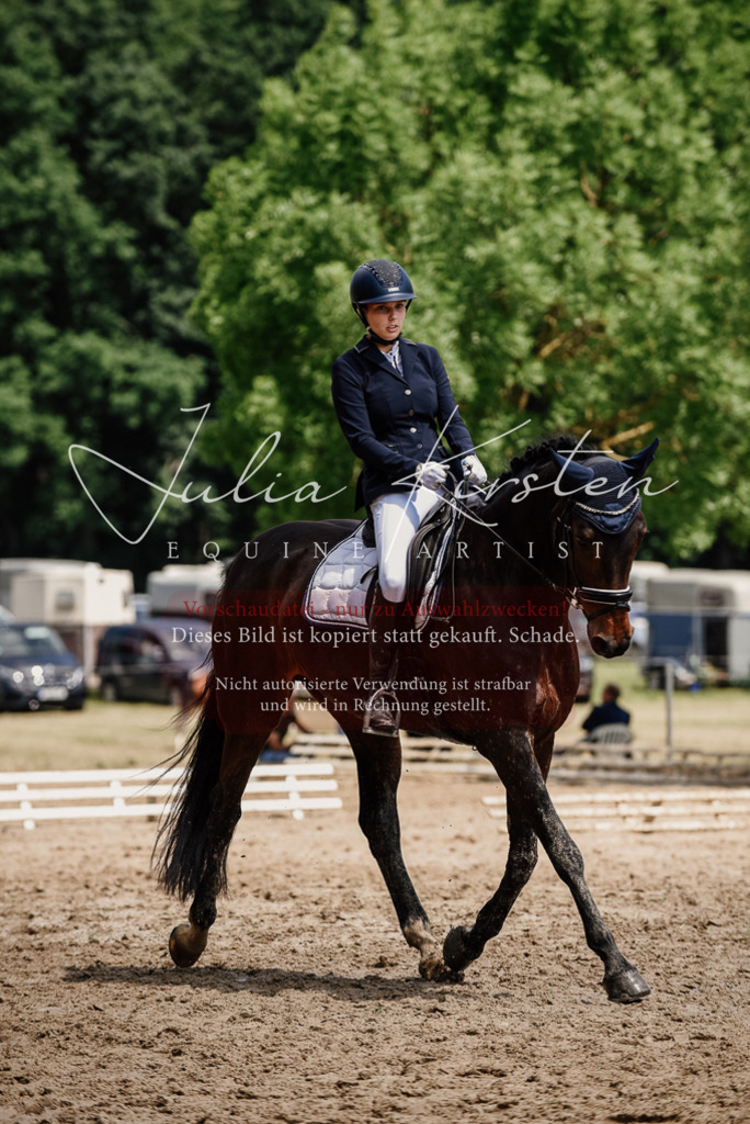 DSC_1481 | Pferde- und Turnierfotografie in Westsachsen. Pferdeportraits, Auftragszeichnungen und intuitive Kunst.