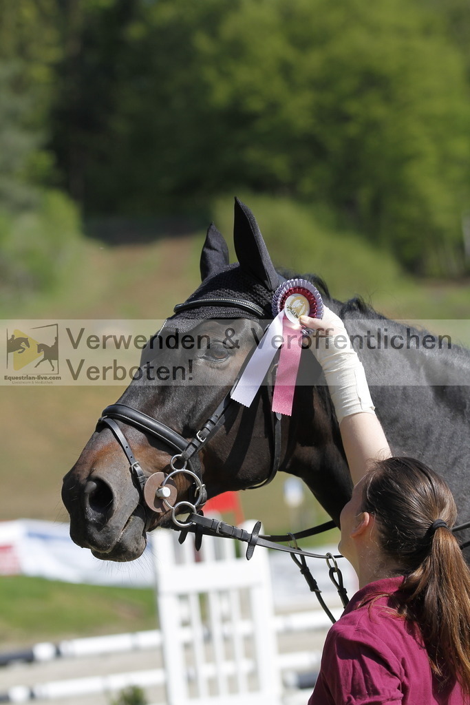 _MG_6849 | equestrian-live-com