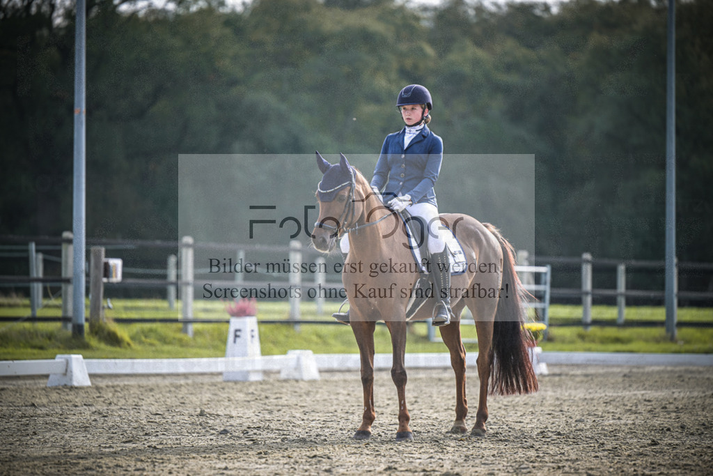 DOS_B154 | Entdecke hochwertige Reitturnierfotos von Foto Oger. Professionell, emotional und authentisch – jetzt Lieblingsmomente im Shop bestellen.Deutschlandweite Turnierfotografie. - Realisiert mit Pictrs.com