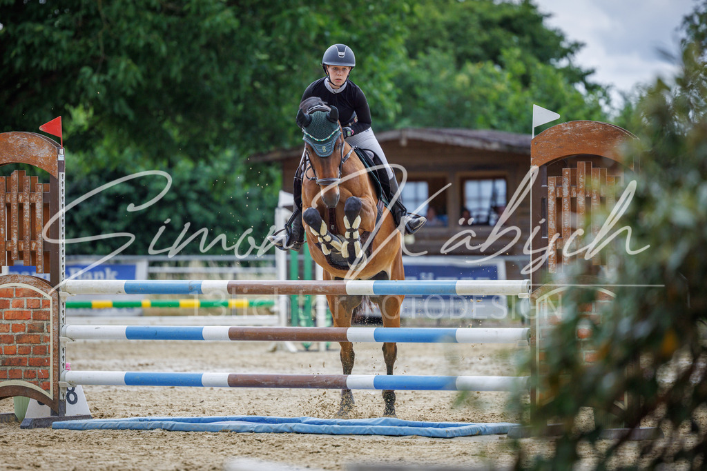 20260705-_3LI5872 | Tierfotografie Pferde, Hunde, Katzen, Haustiere.
Turnierfotografie Reitturniere, Reiten, Springreiten, Dressur in Hanau, dem Main-Kinzig-Kreis und dem Rhein-Main- Gebiet um Frankfurt