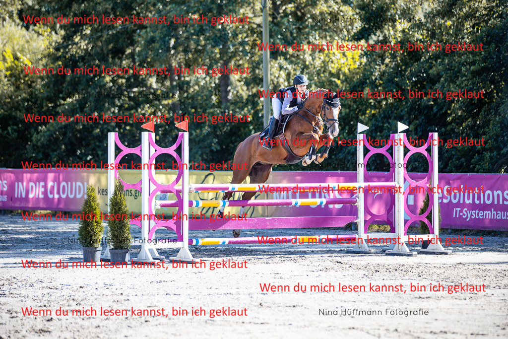 BK1A5753 | Turnierbilder Turnierfotos Nina Hüffmann Turnierfotografie Pferdefotografie Tierzeichnung Haustierzeichnung Pferdezeichnung Hundezeichnung Videograf  - Realisiert mit Pictrs.com