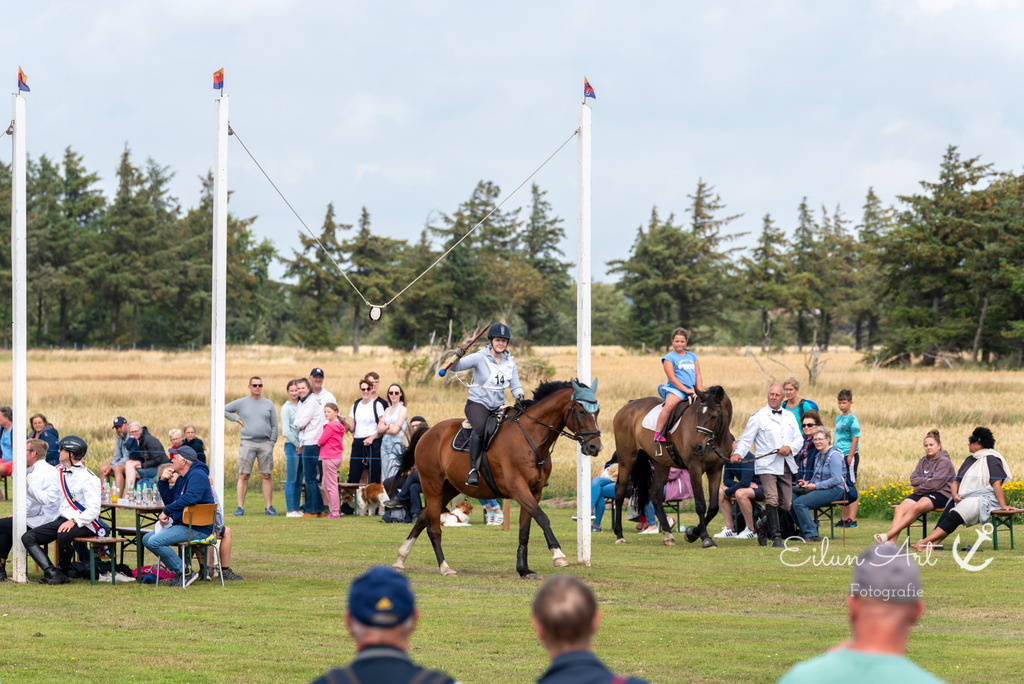 EAF_7536 | Eilun-Art-Fotografie Levke Martens, ihre Fotografin für Immobilien- und Landschaftsfotografie auf Föhr, Föhrer Motive als Poster, Leinwand, hinter Acrylglas oder stelle dir deinen eigenen Monatskalender zusammen, mit nur einem Klick
