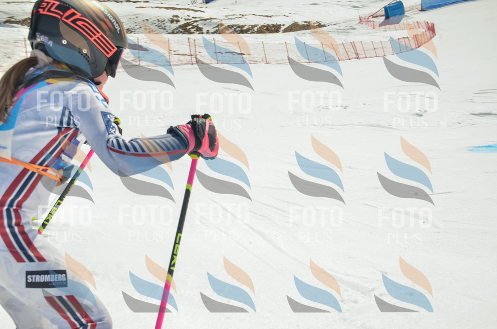 _ELE4681 | holidayphoto