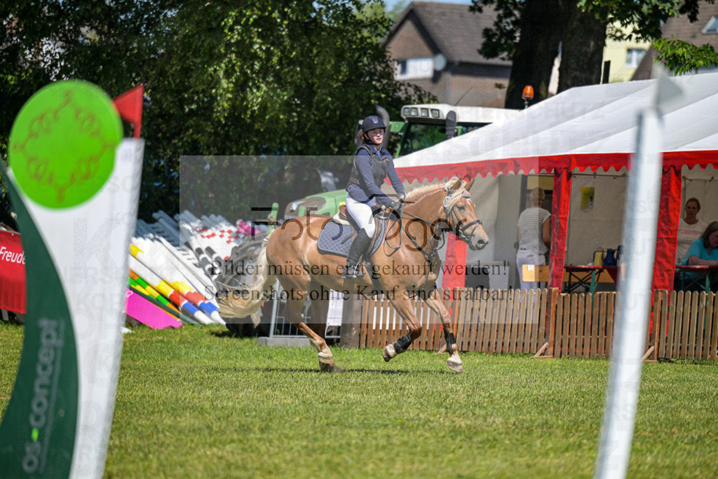 Reitturnier Voxtrup | Entdecke hochwertige Reitturnierfotos von Foto Oger. Professionell, emotional und authentisch – jetzt Lieblingsmomente im Shop bestellen.Deutschlandweite Turnierfotografie. - Realisiert mit Pictrs.com