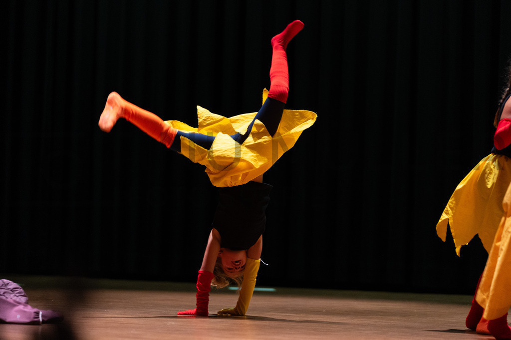 DSC08889 | Tinu Müller Fotografie- Bildershop - Realisiert mit Pictrs.com